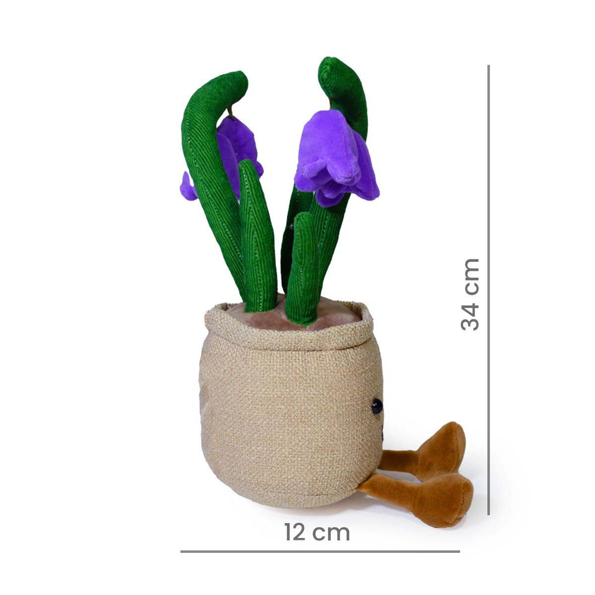 CAMPANILLA