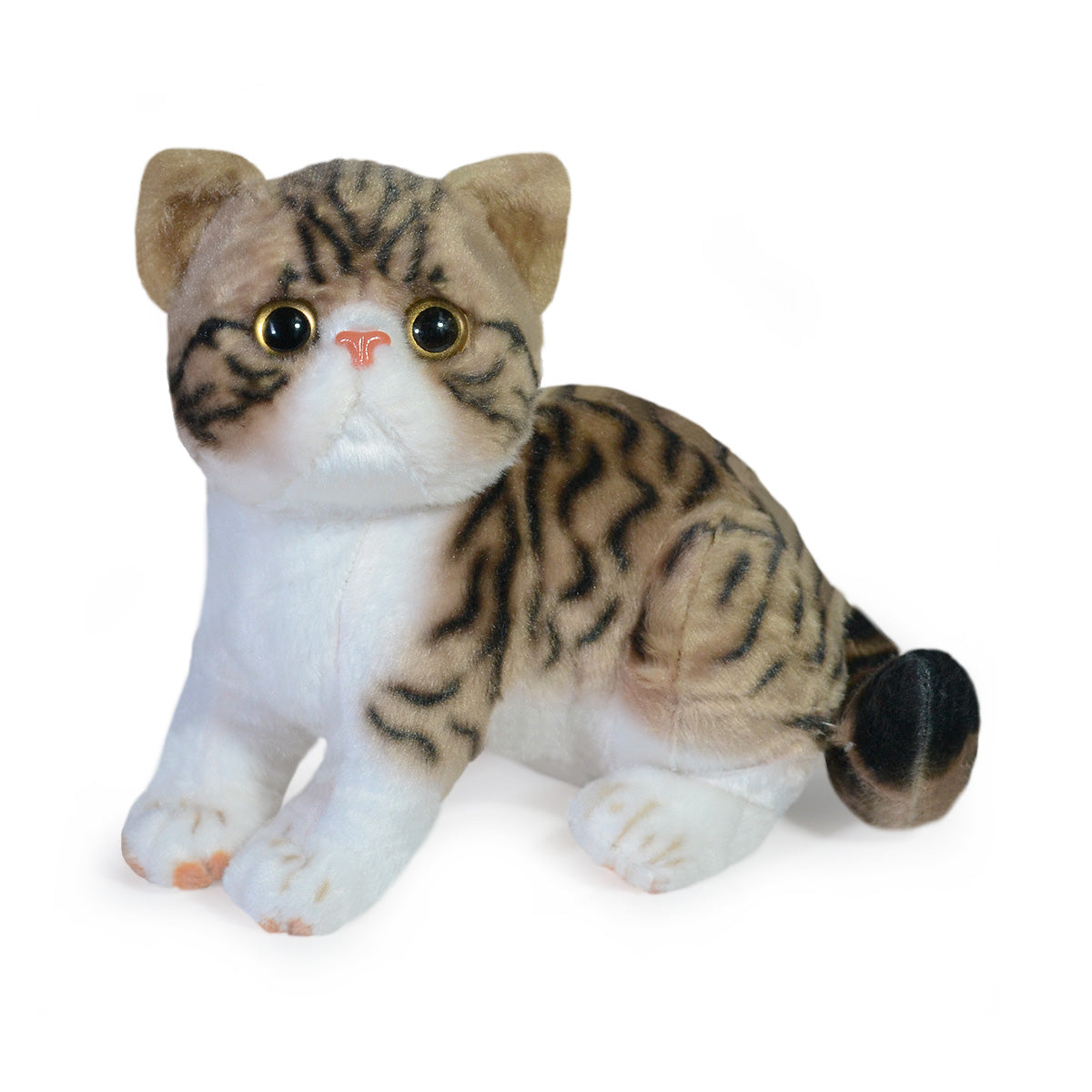 GATO ALONZO