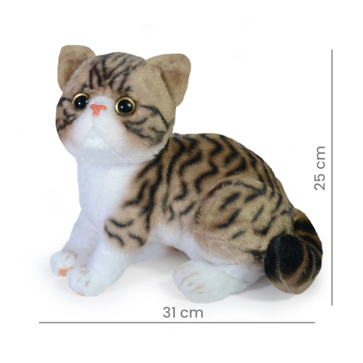 GATO ALONZO