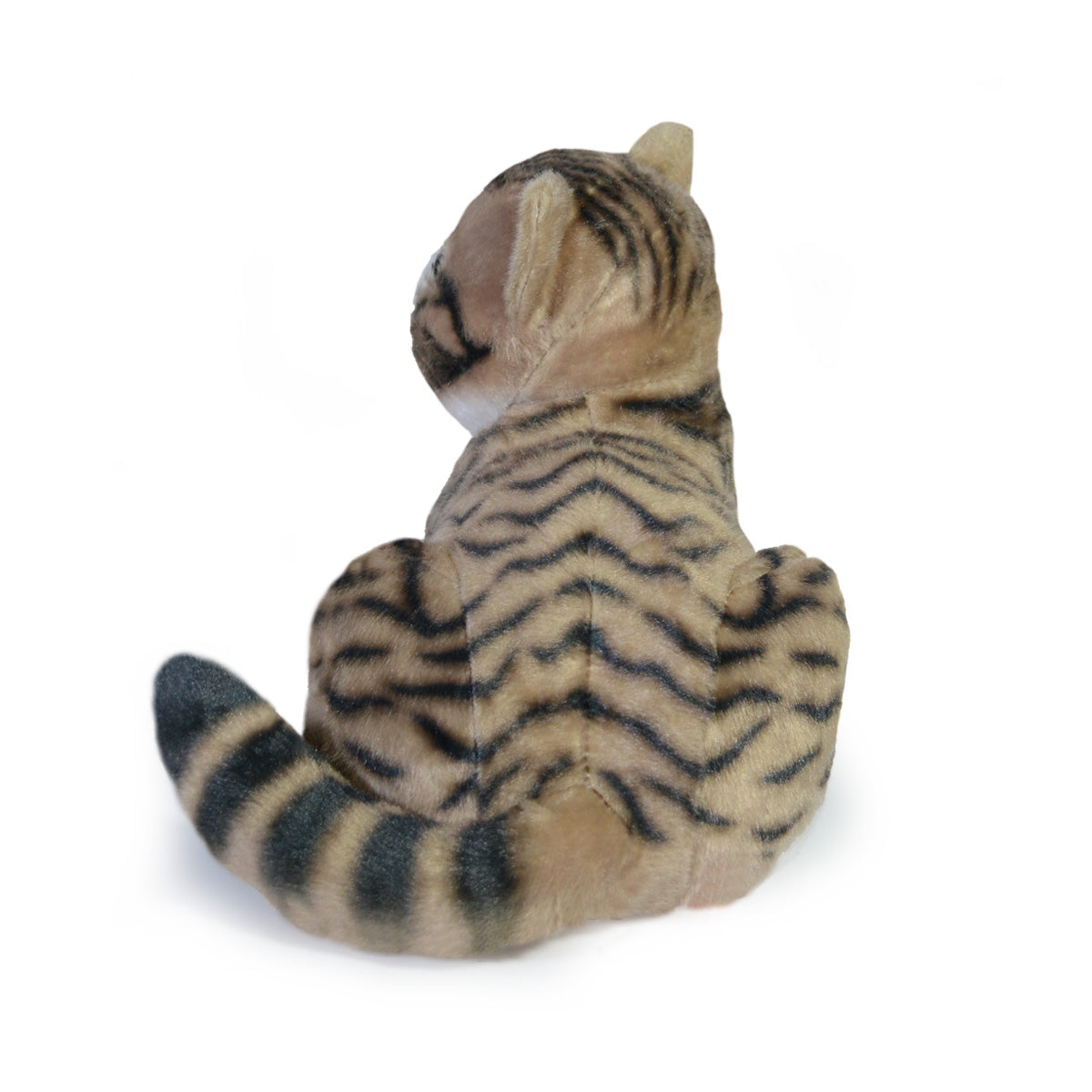 GATO ALONZO