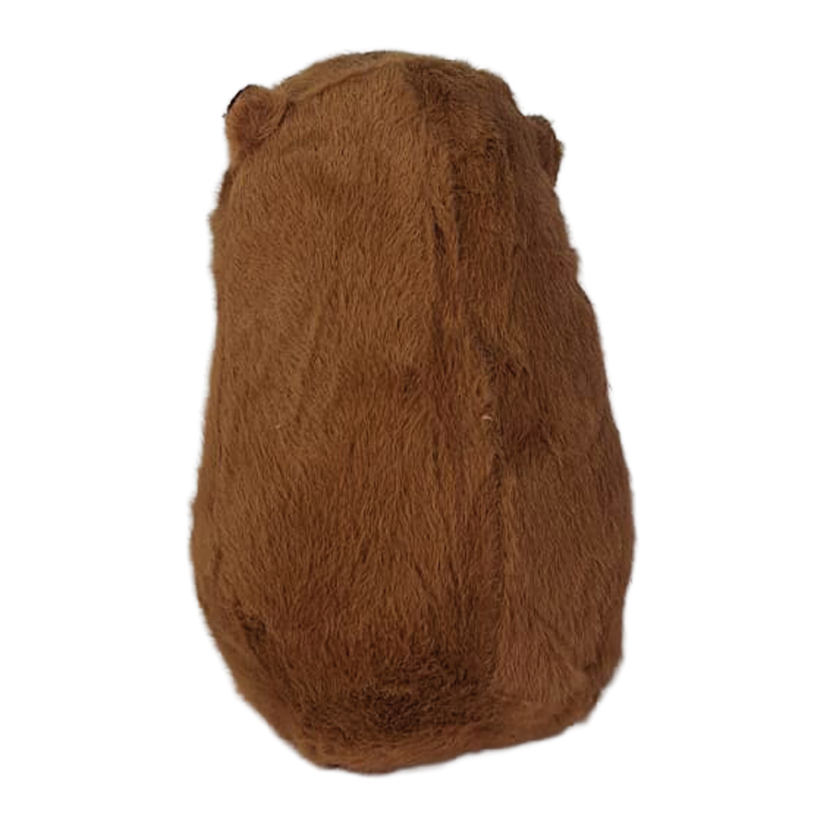 CAPIBARA ALEXANDER 23cm -CAFÉ