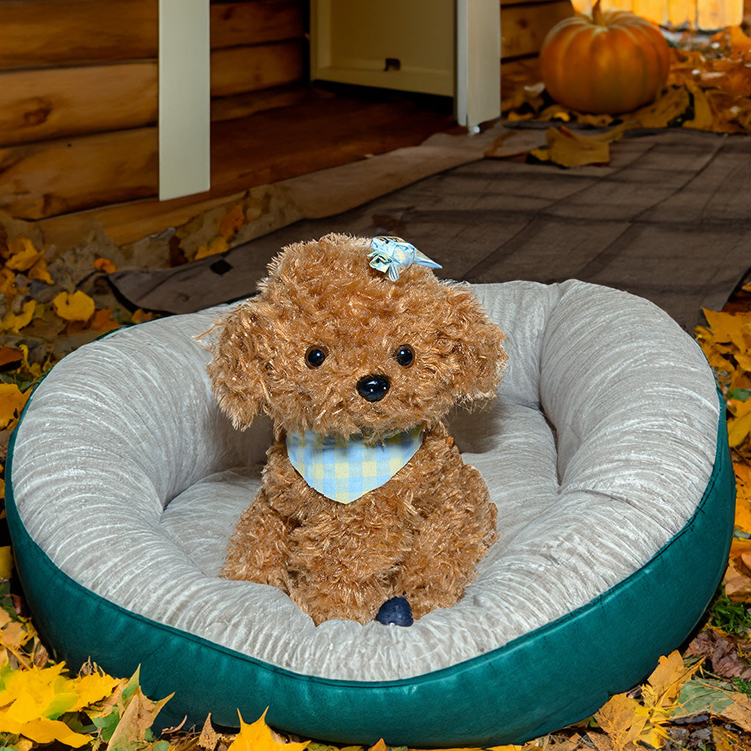 PERRO JESÚS 20CM - CAFÉ