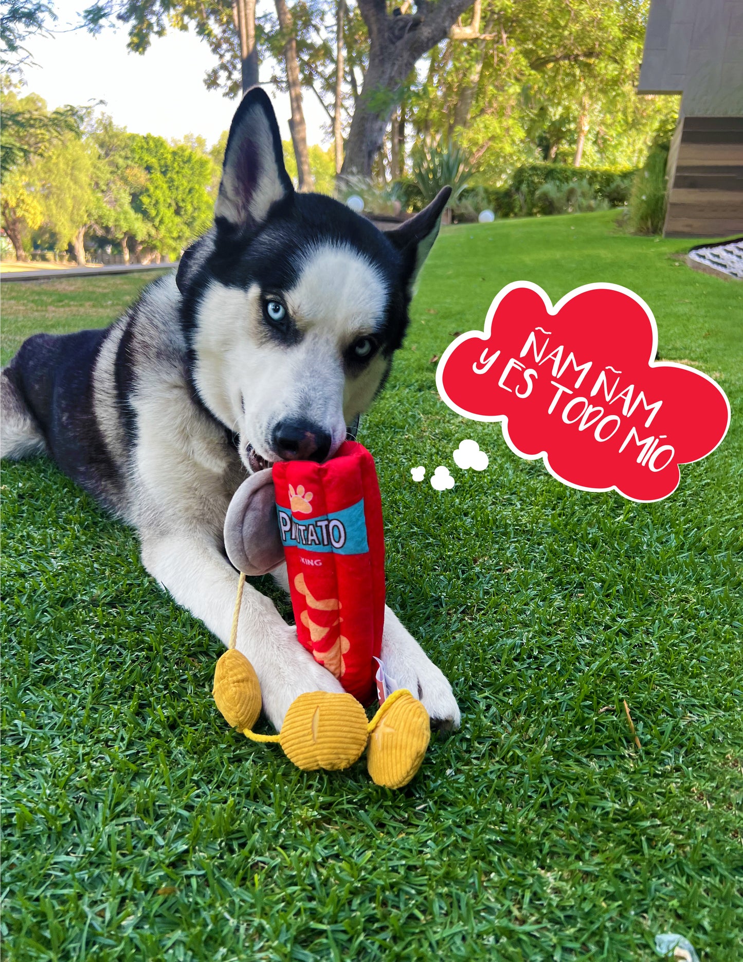 PAPITAS PARA MASCOTAS 23cm - ROJO