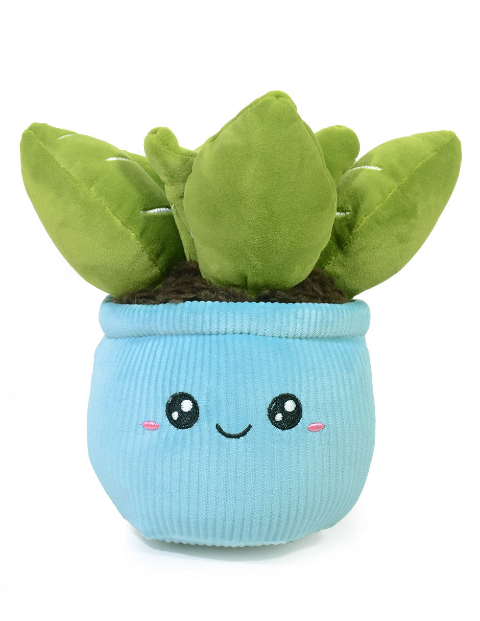 Planta de Peluche Suculenta Lulu 20 cm