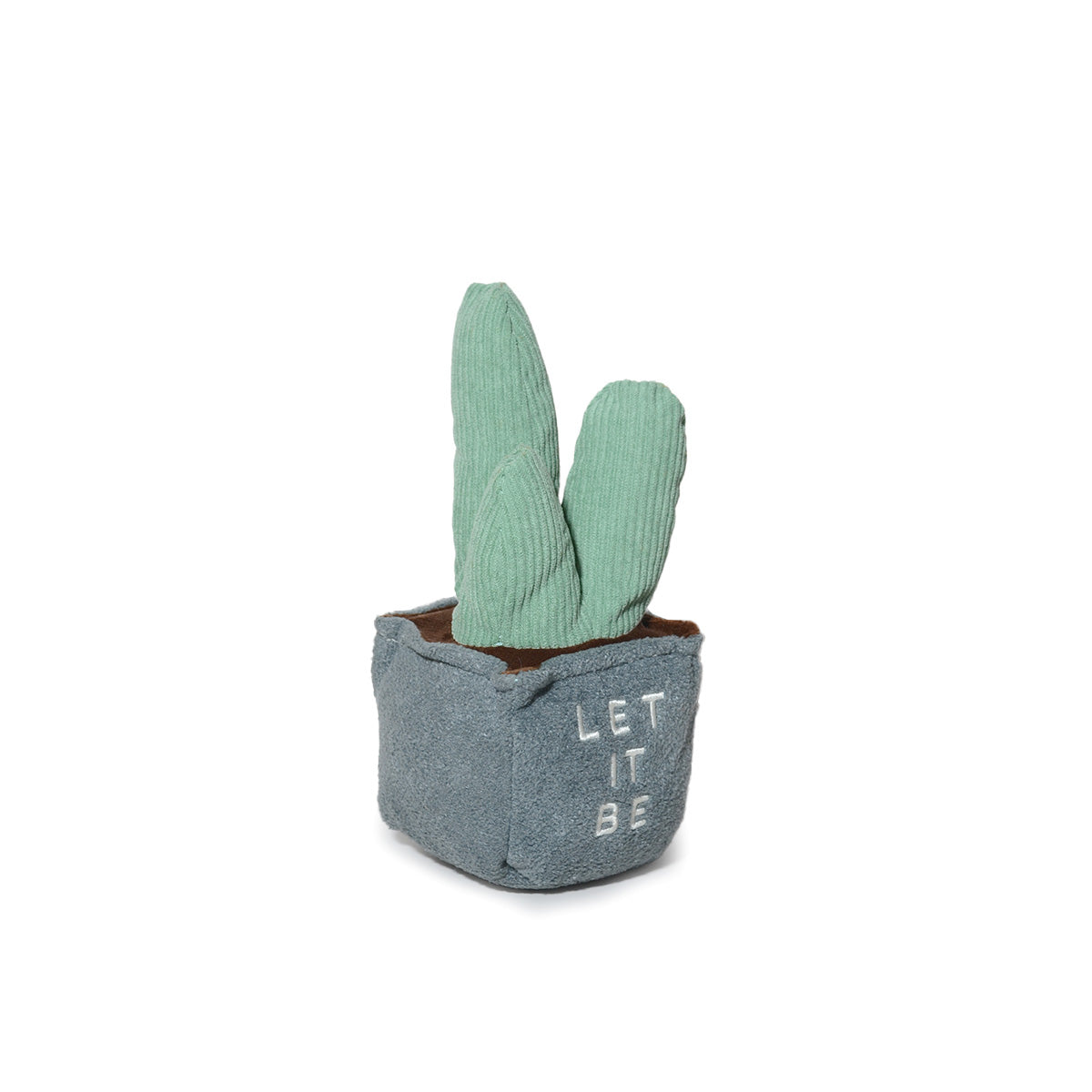 CACTUS PERUVIANO