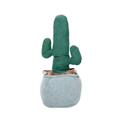 CACTUS CANDELABRO 25CM - VERDE  OSCURO