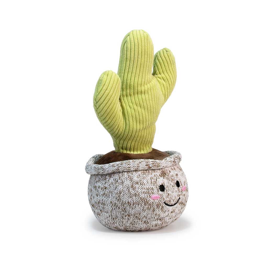CACTUS PITAYO 20CM - VERDE