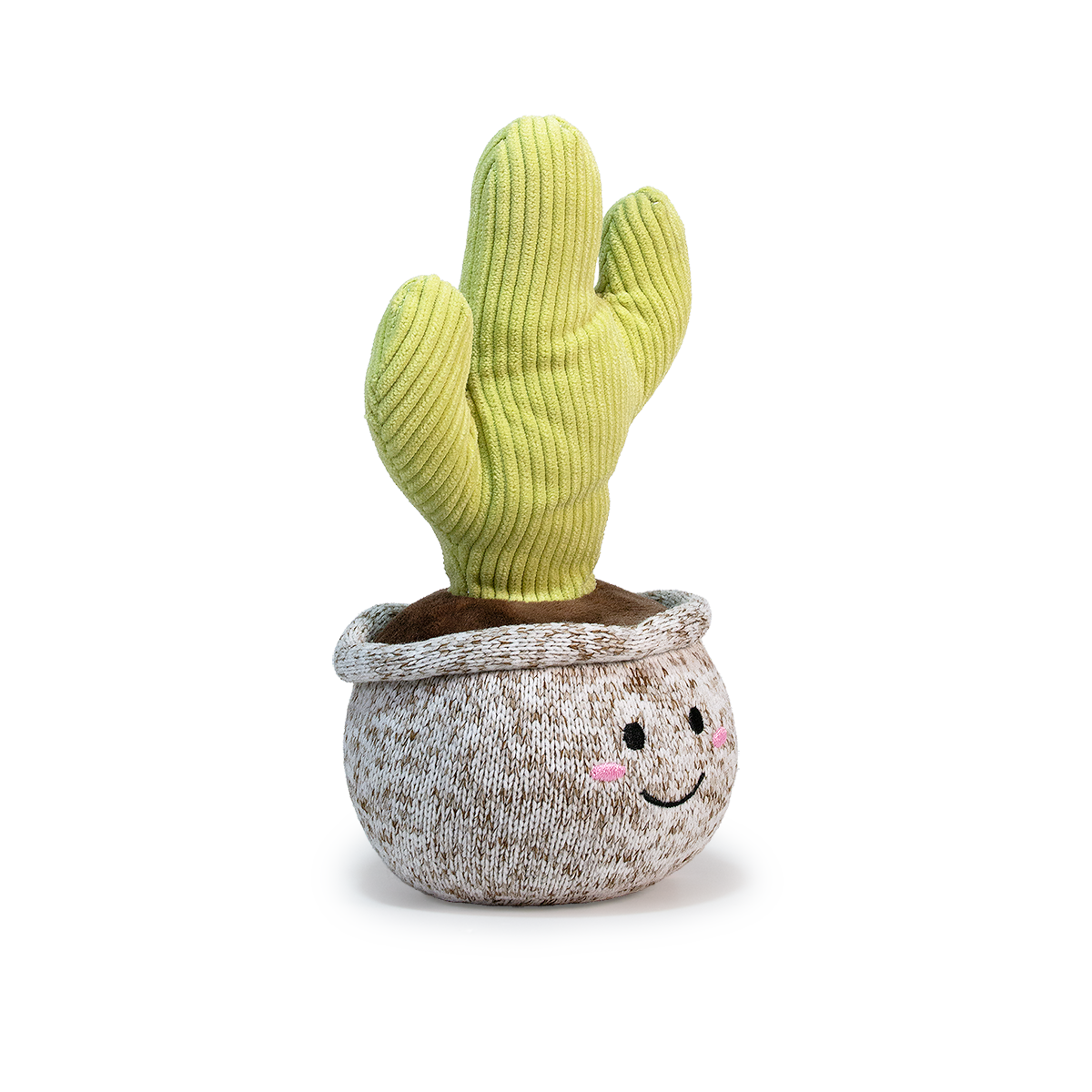 CACTUS PITAYO 20CM - VERDE