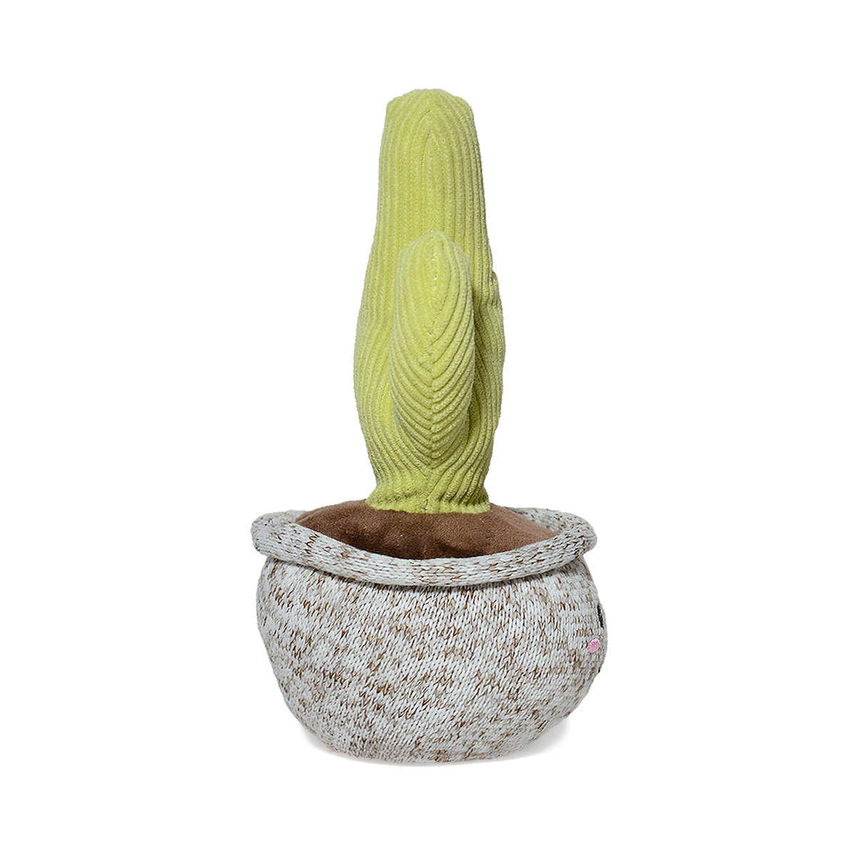 CACTUS PITAYO 20CM - VERDE