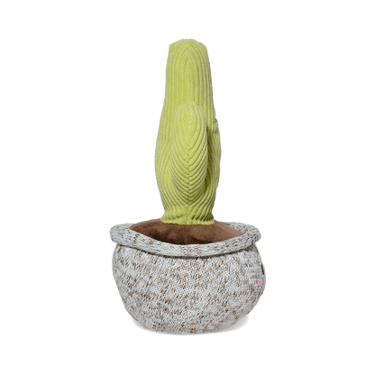 CACTUS PITAYO 20CM - VERDE