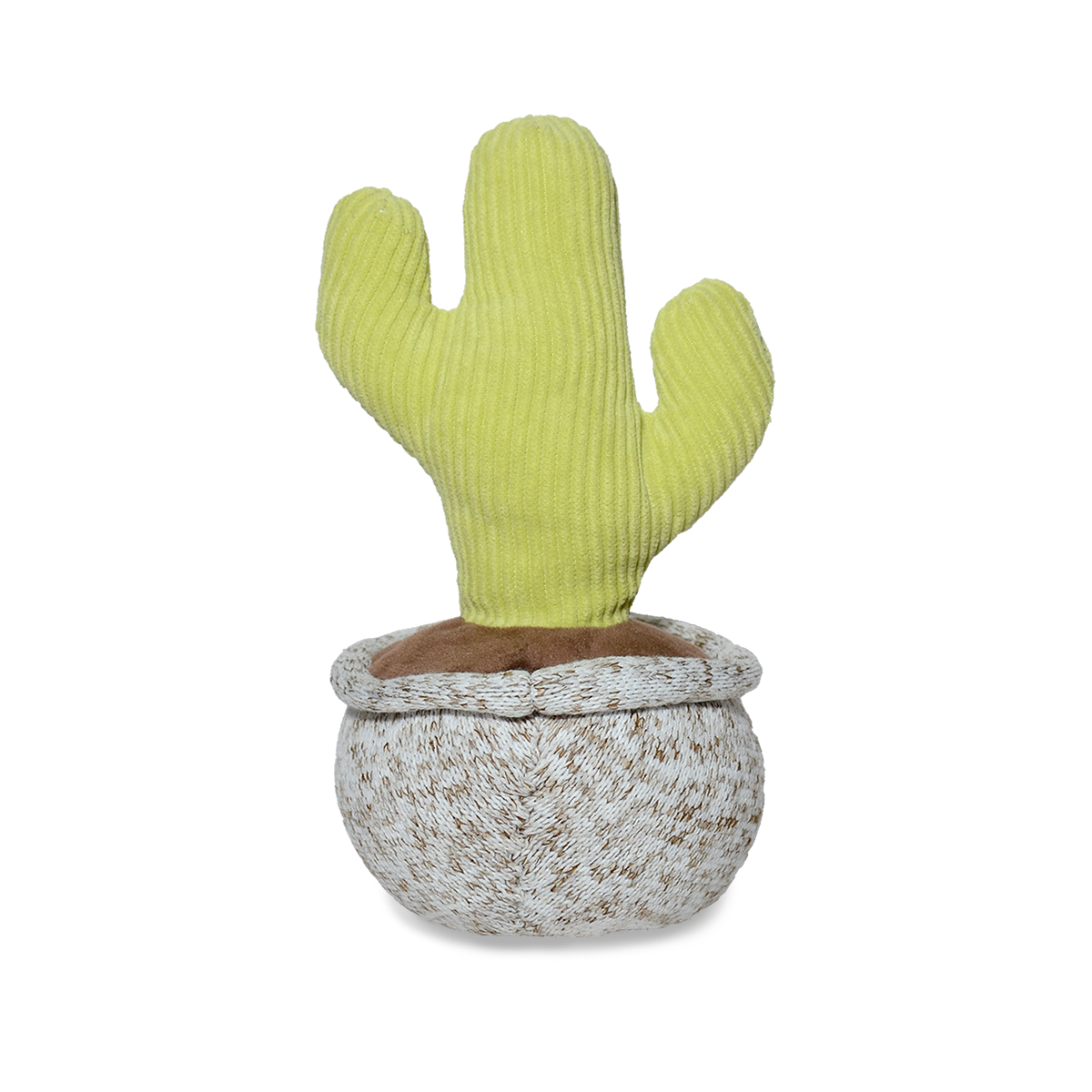 CACTUS PITAYO 20CM - VERDE