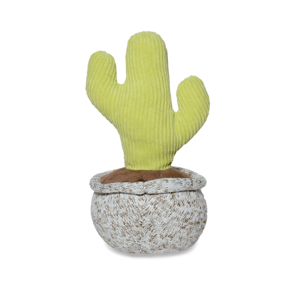 CACTUS PITAYO 20CM - VERDE