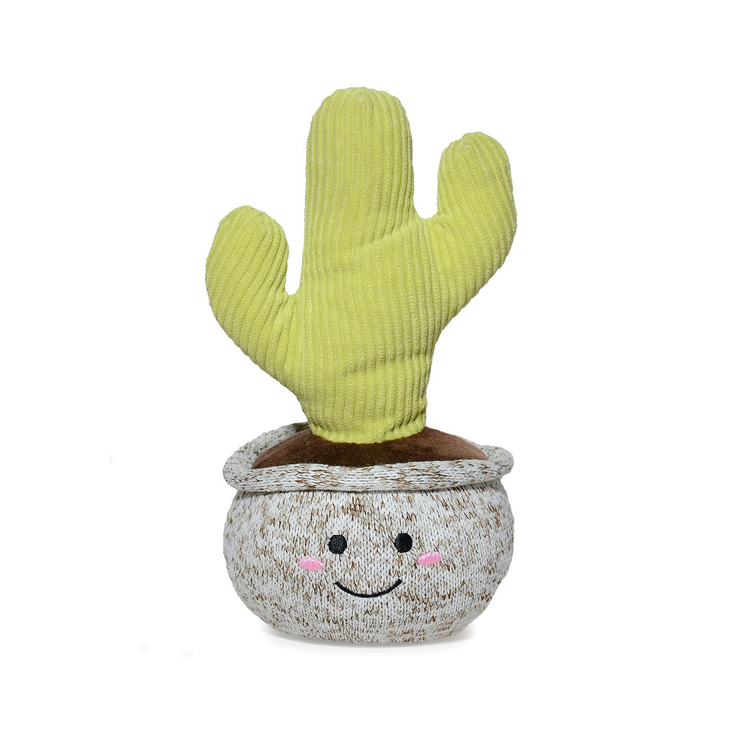 CACTUS PITAYO 20CM - VERDE