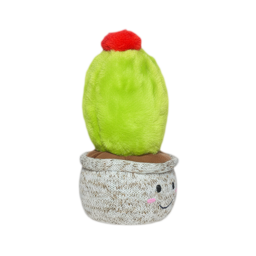 CACTUS PEYOTE 20cm - VERDE
