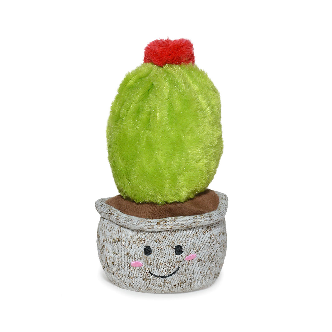 CACTUS PEYOTE 20cm - VERDE