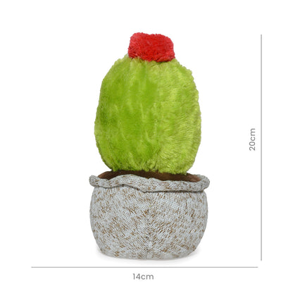 CACTUS PEYOTE 20cm - VERDE