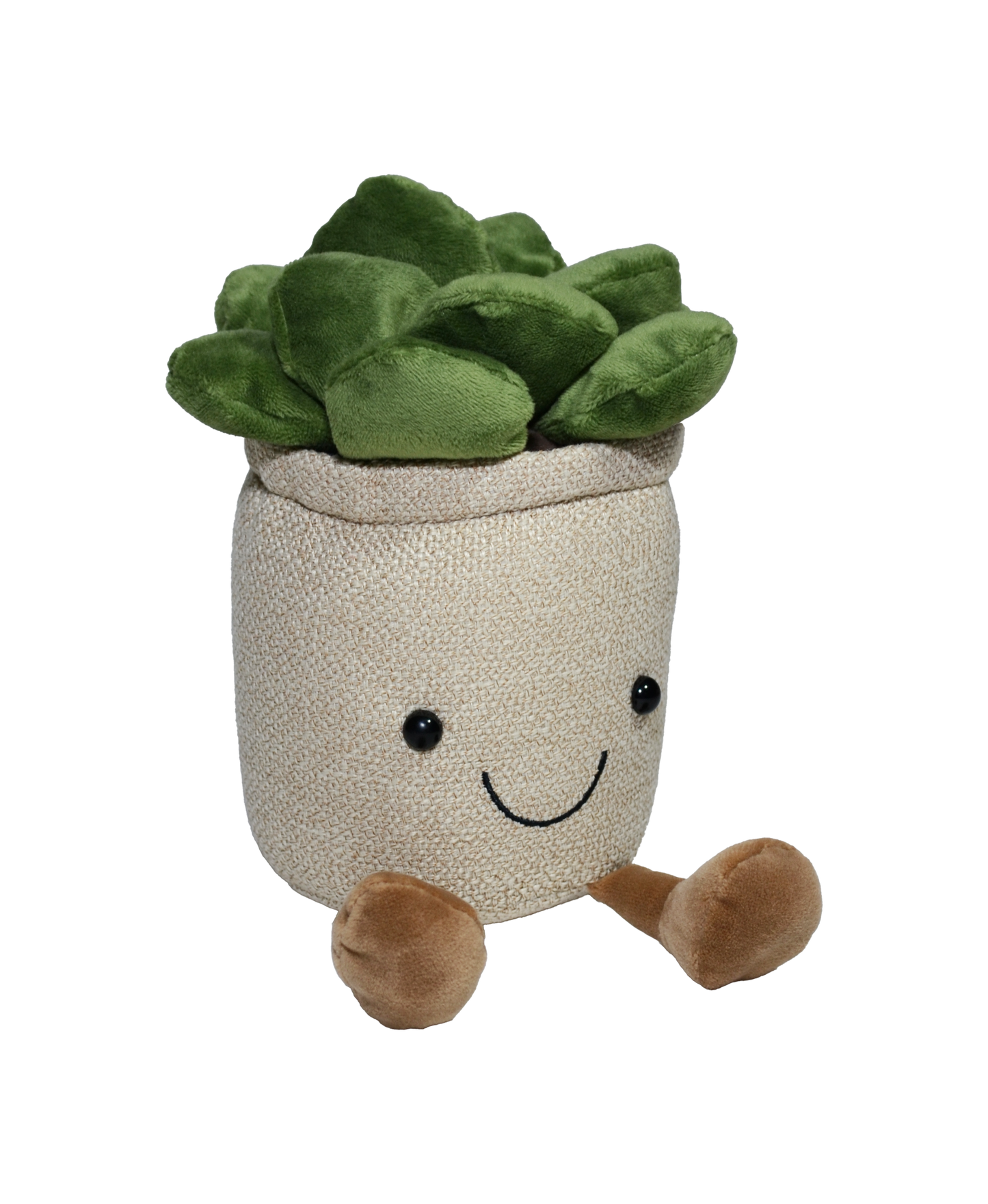 SUCULENTA VALERIA 22cm - BEIGE