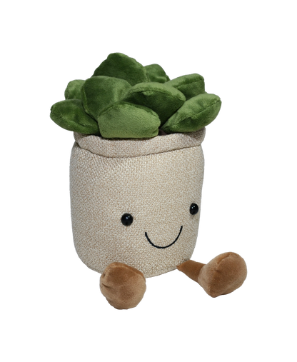 SUCULENTA VALERIA 22cm - BEIGE
