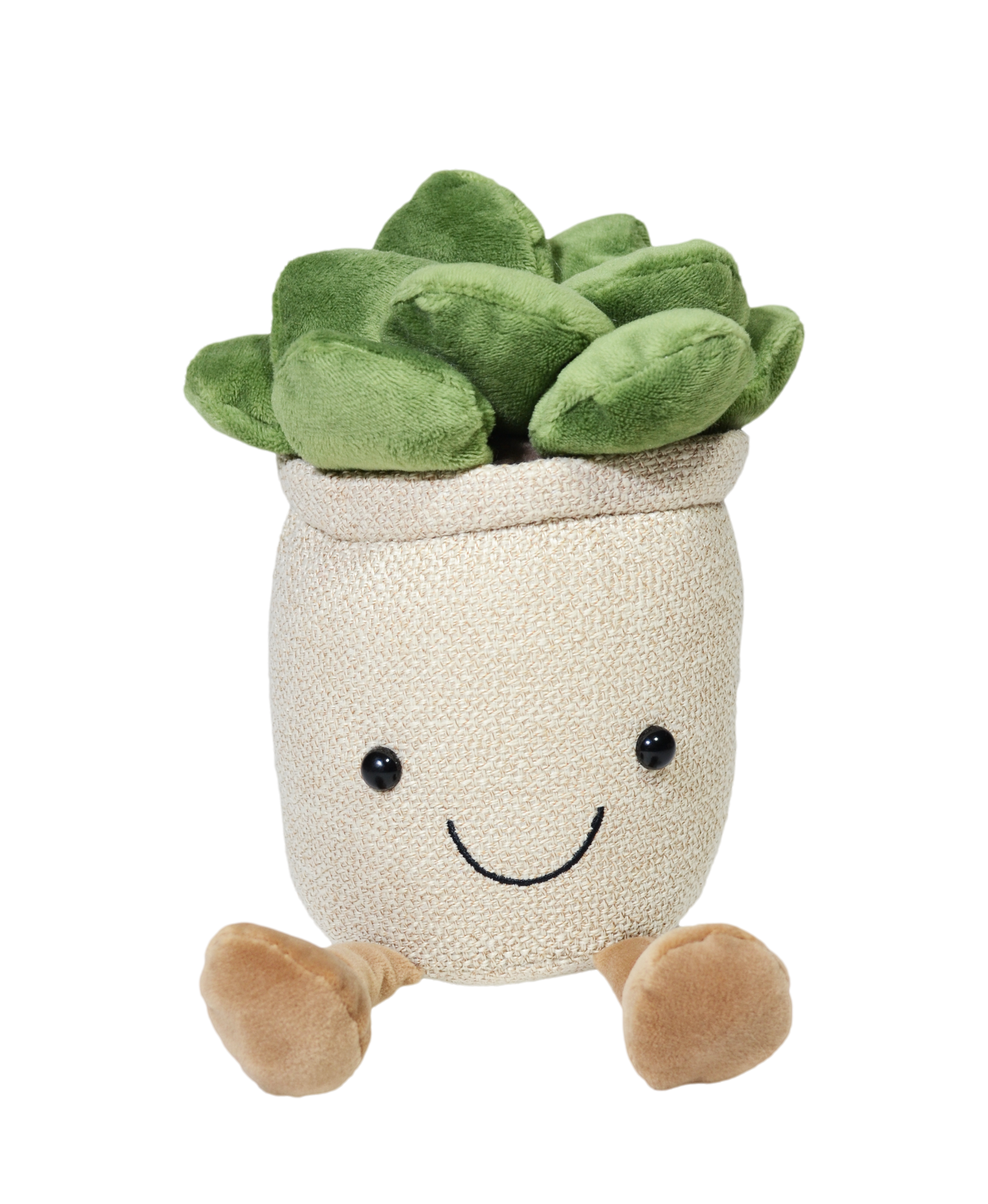 SUCULENTA VALERIA 22cm - BEIGE