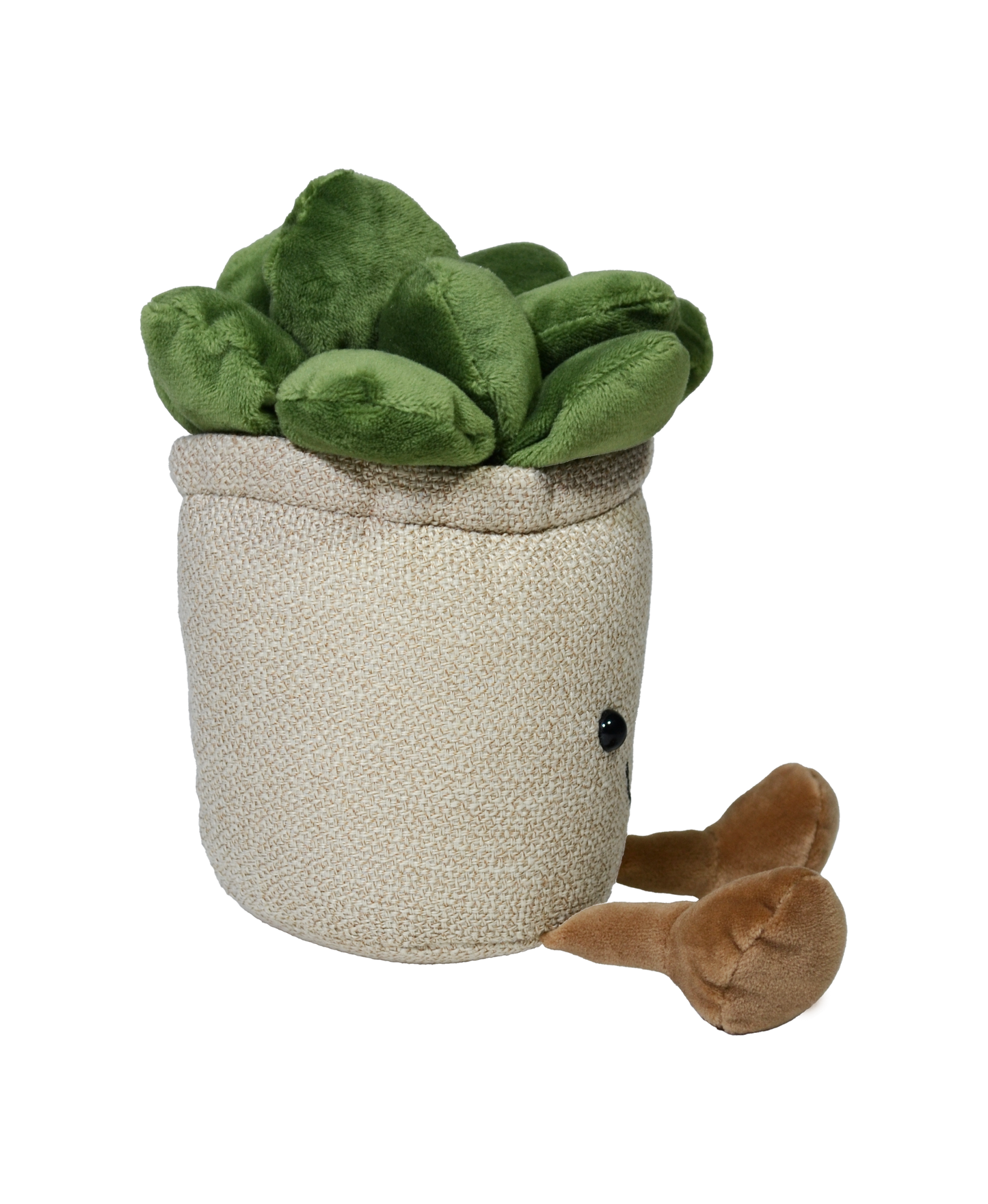 SUCULENTA VALERIA 22cm - BEIGE