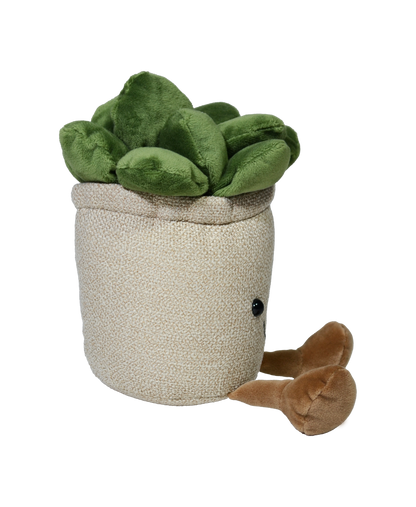 SUCULENTA VALERIA 22cm - BEIGE