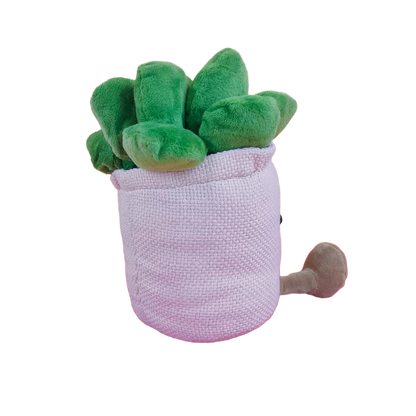 SUCULENTA VALERIA 22cm - ROSA