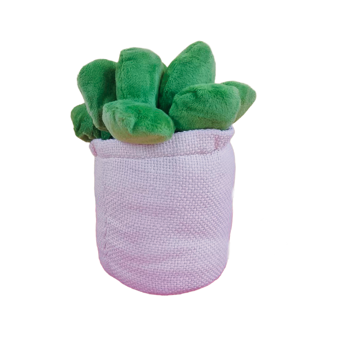 SUCULENTA VALERIA 22cm - ROSA