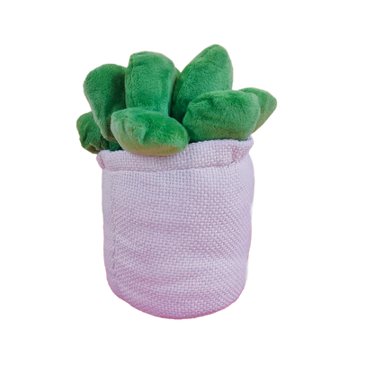 SUCULENTA VALERIA 22cm - ROSA