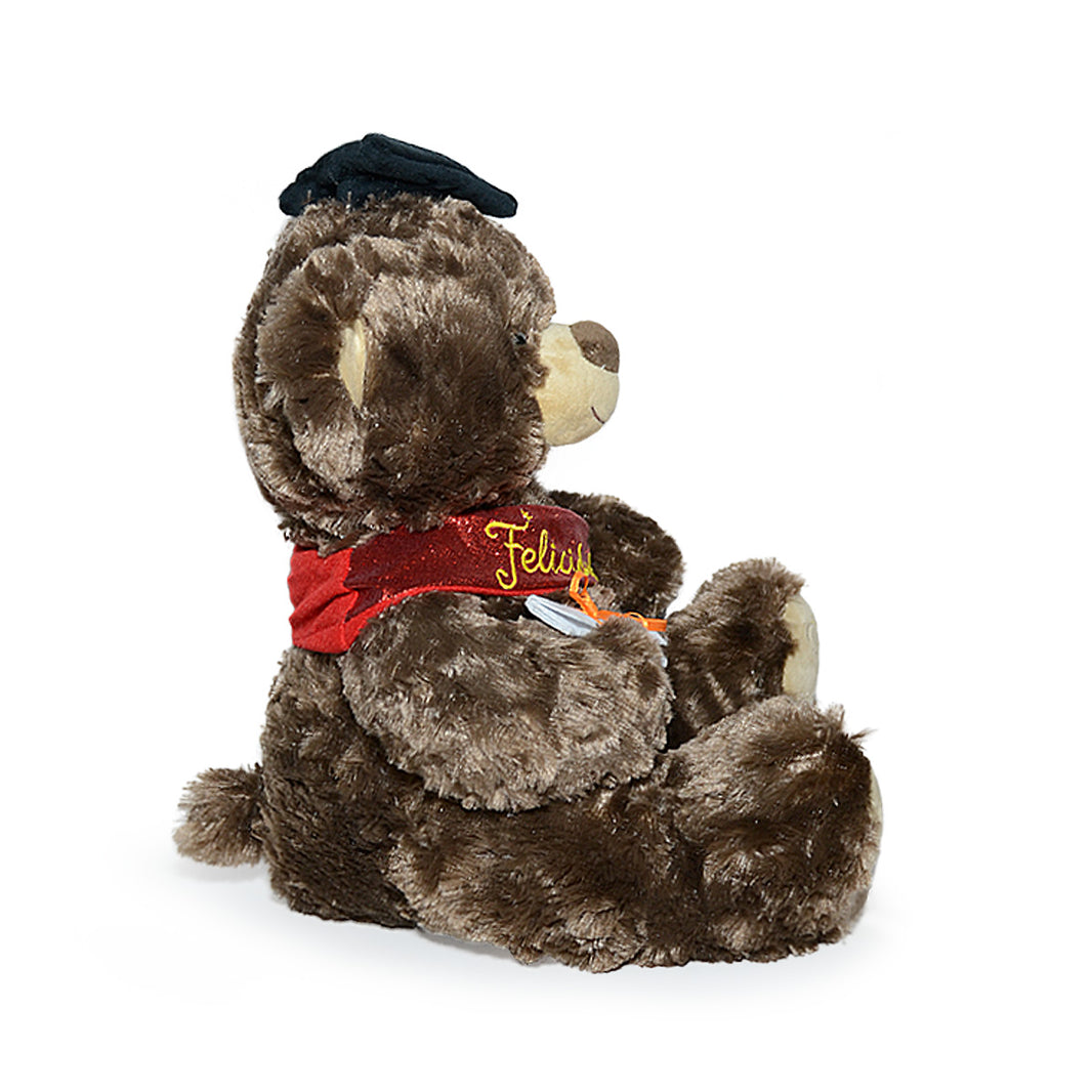 Oso de Peluche Graduado 30cm