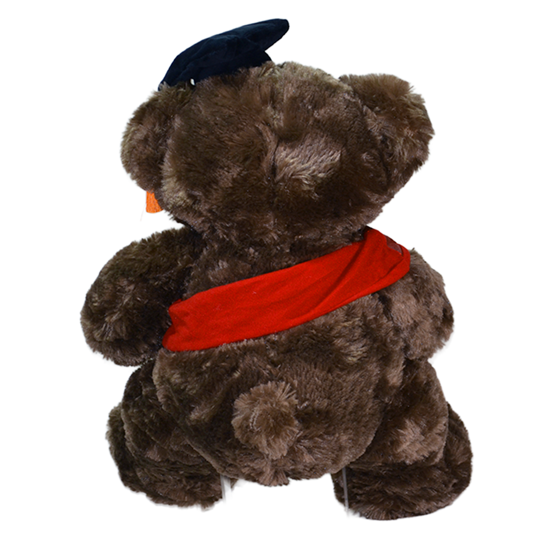 Oso de Peluche Graduado 40 cm