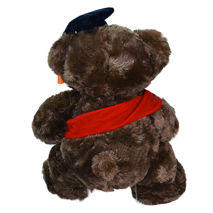 Oso de Peluche Graduado 40 cm
