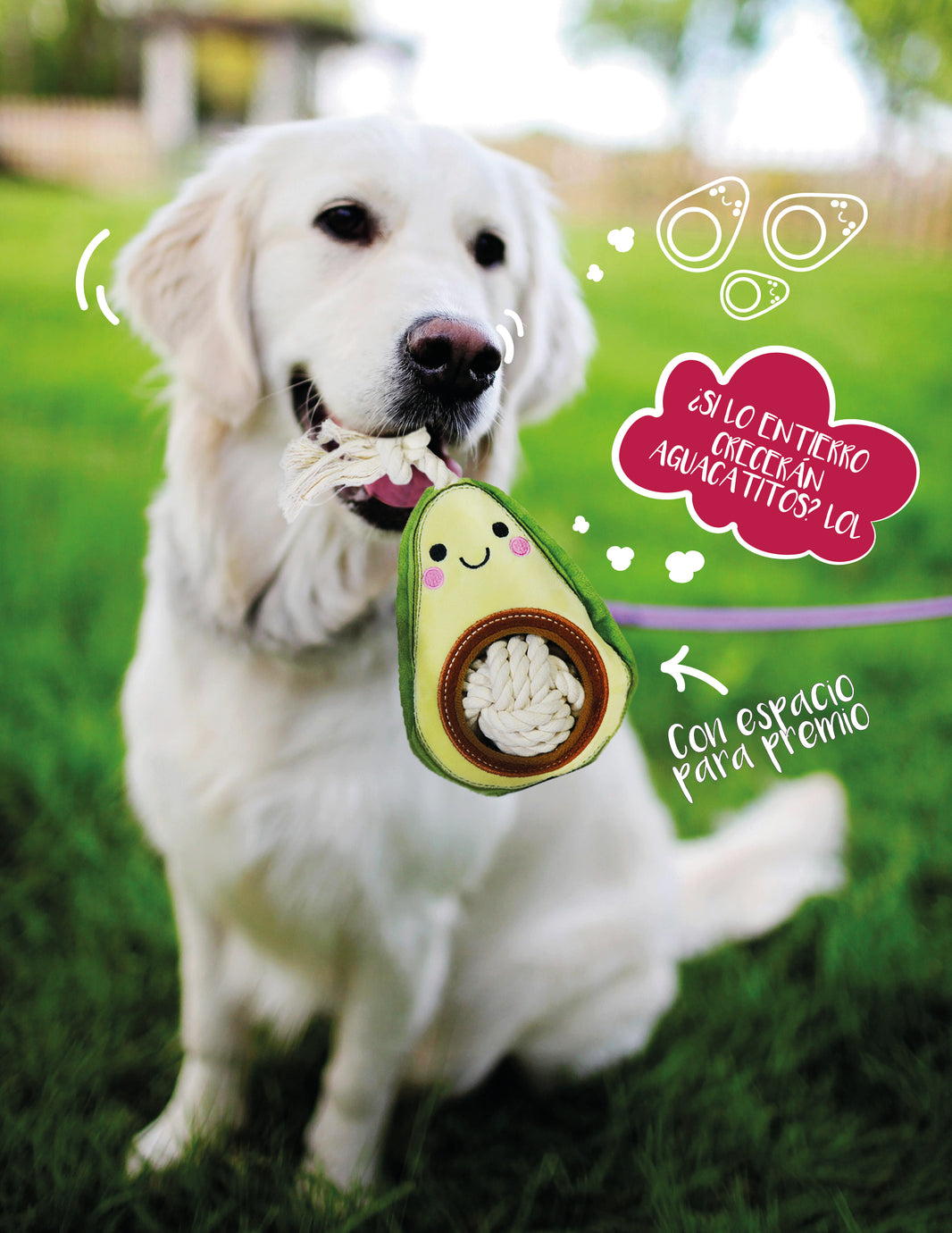 AGUACATE PARA MASCOTAS 16cm - VERDE