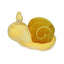 CARACOL NUMB