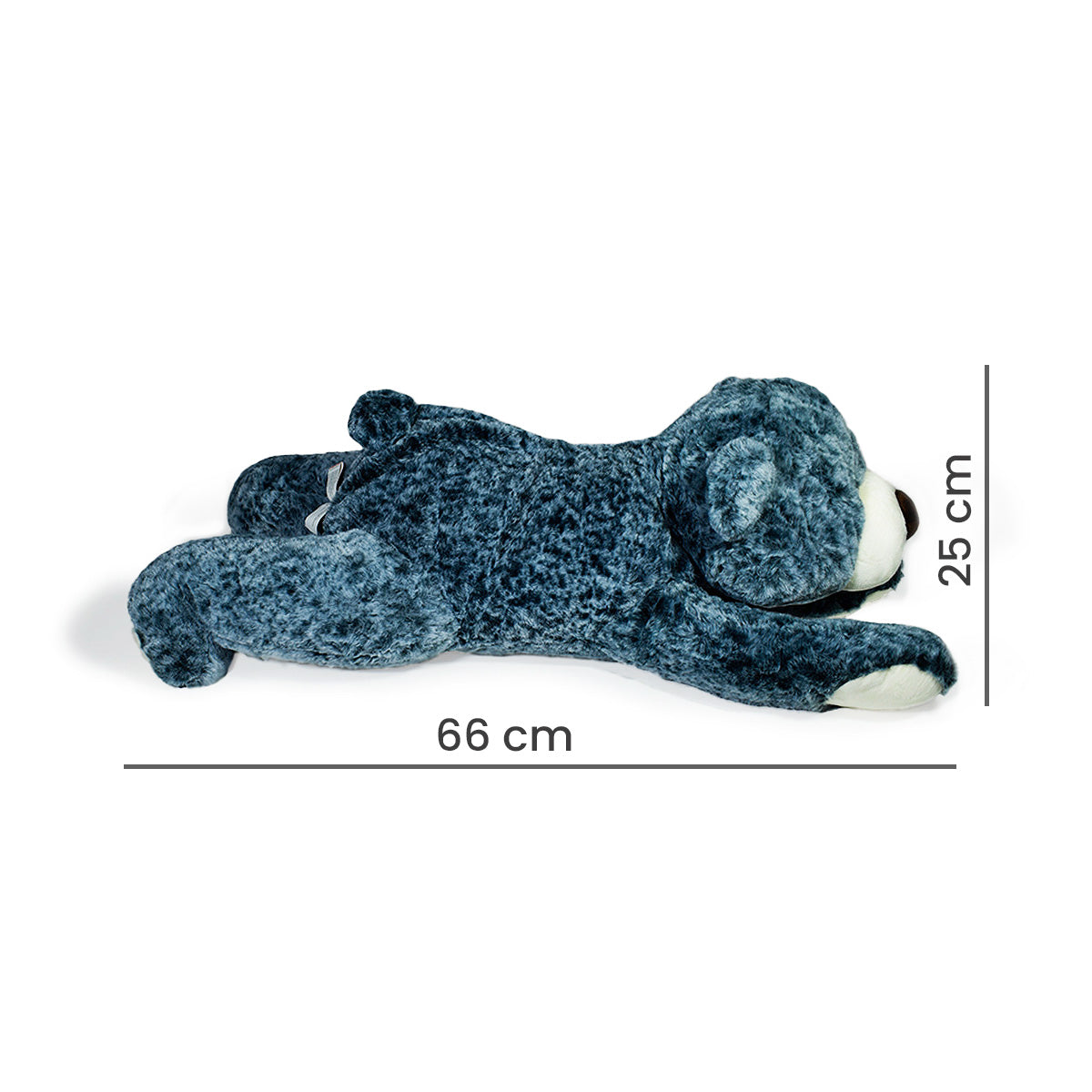 OSO PABLO 66cm