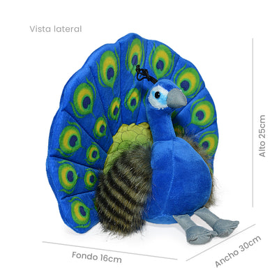 PAVO REAL KIARA