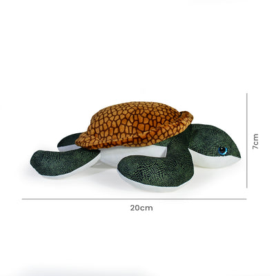 TORTUGA CENTELLA 20cm