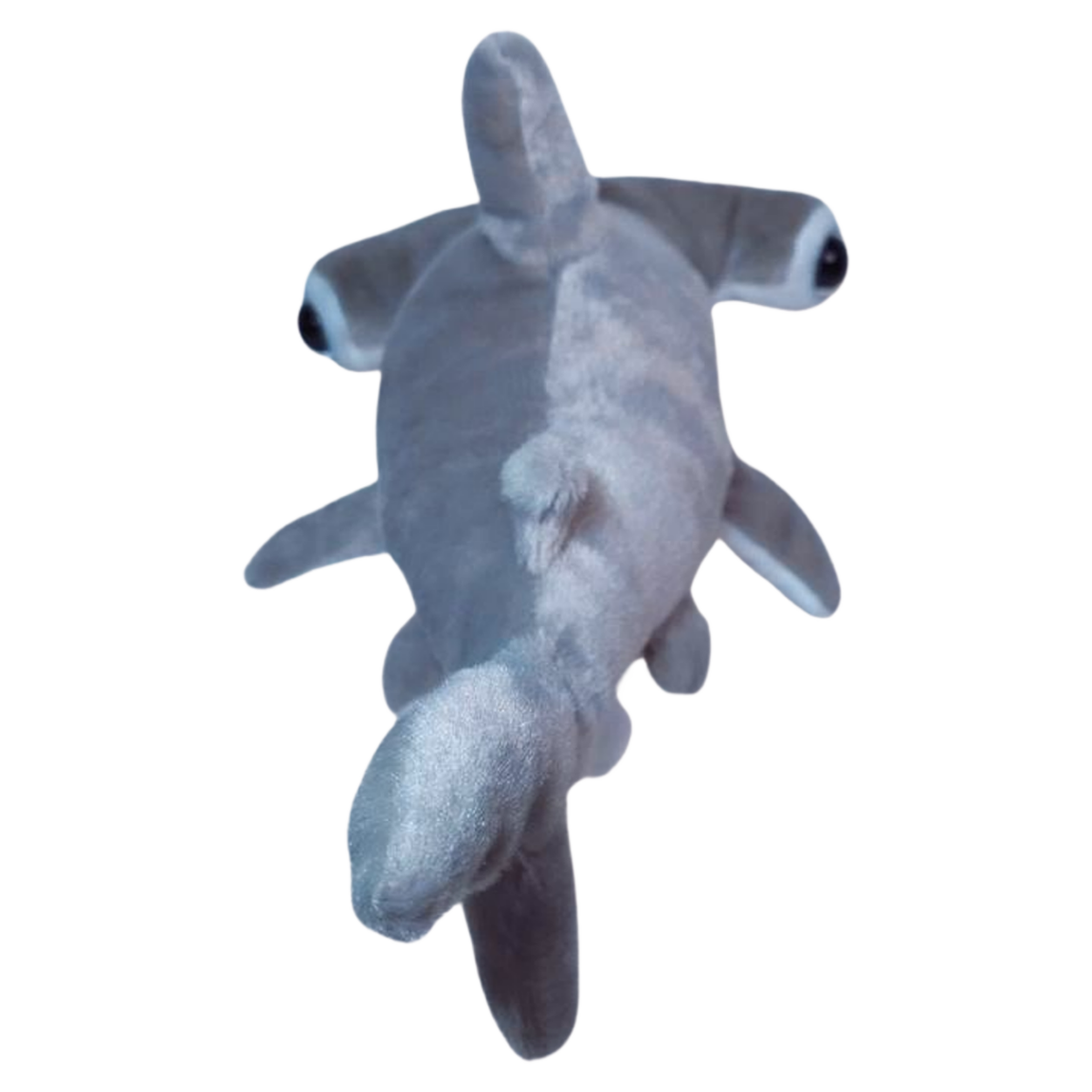 TIBURÓN MARTILLO 40cm - GRIS