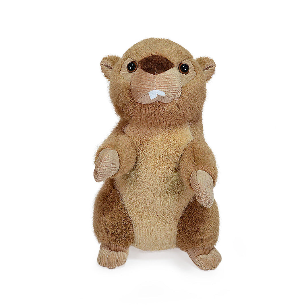 Castor de Peluche Roble 31cm