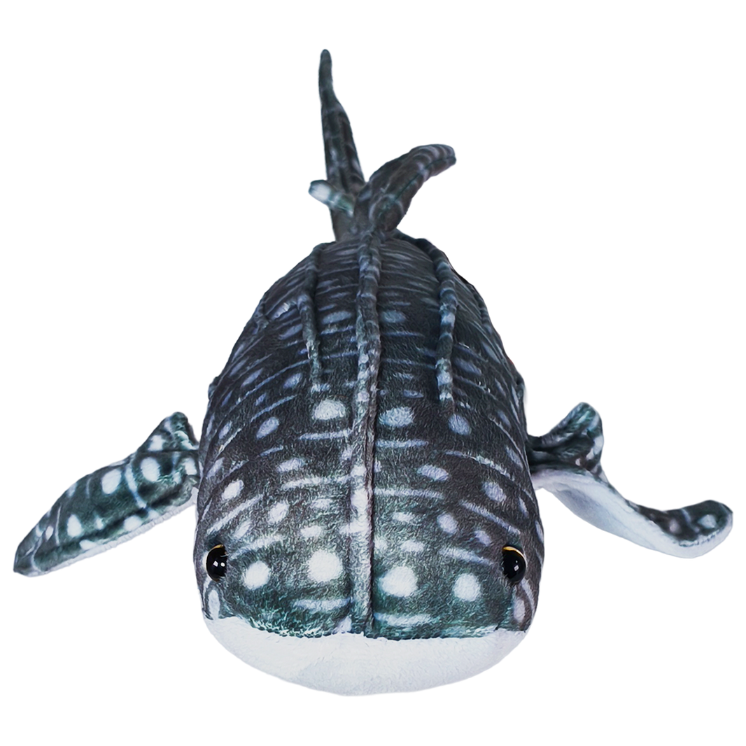 TIBURÓN BALLENA 38cm - GRIS