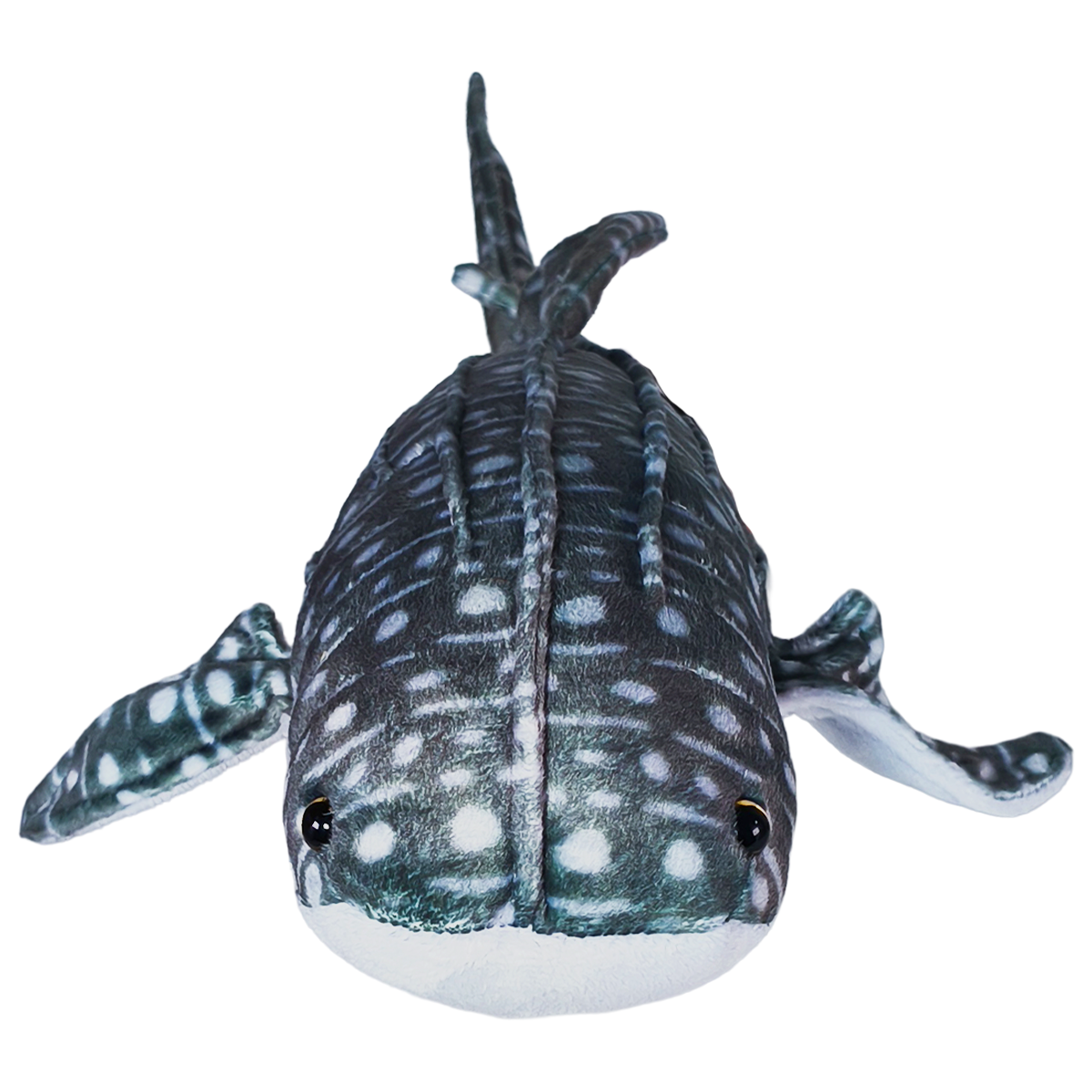TIBURÓN BALLENA 38cm - GRIS