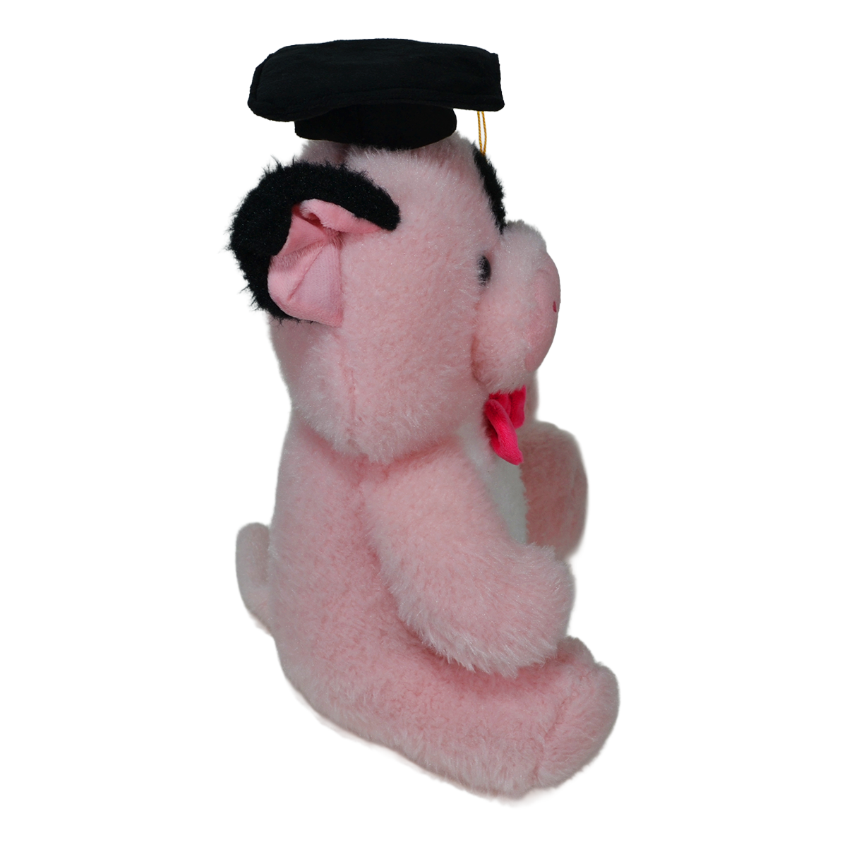 CERDO CARTER GRADUADO 30CM