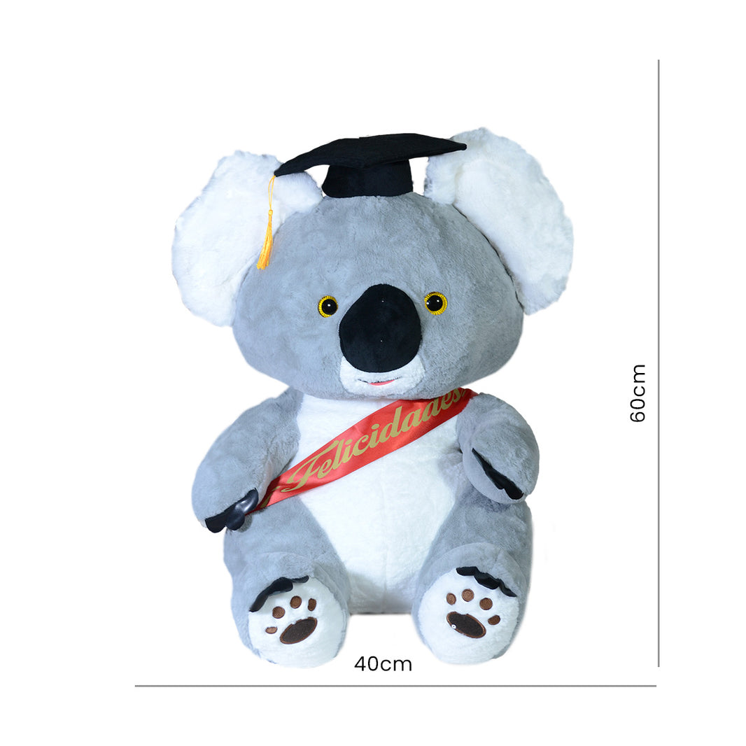 Paquete de peluches Koala Graduado 30 cm