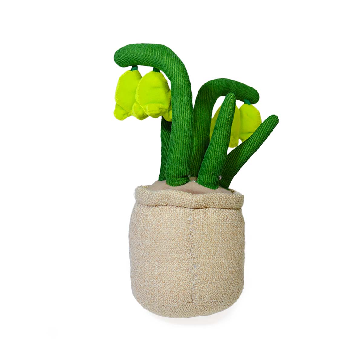 CAMPANILLA