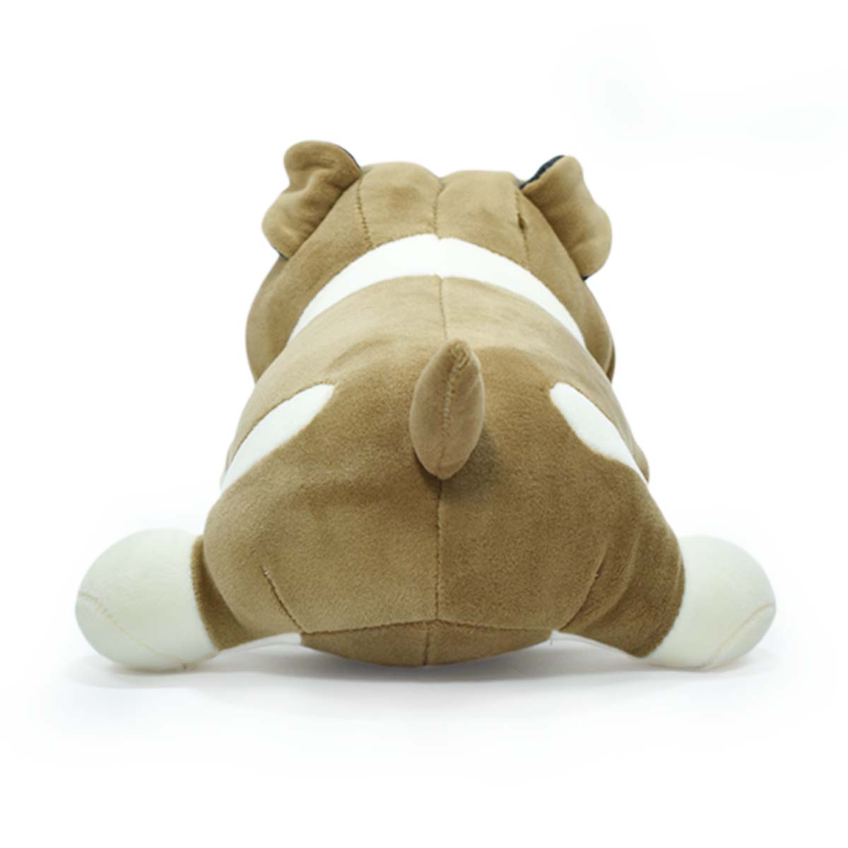 BULLDOG OLIVER