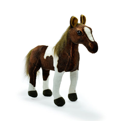 CABALLO PONTIUS