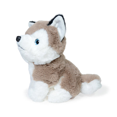 HUSKY BALDUR